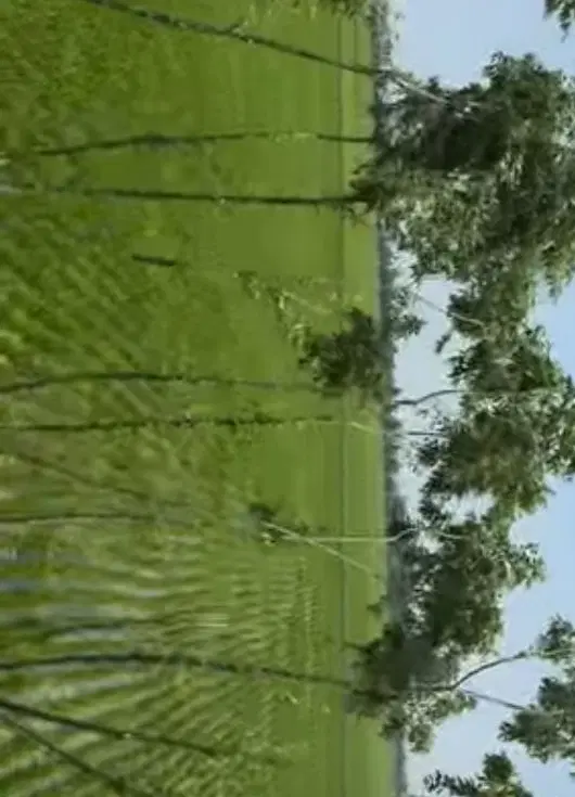 زمین مناسب باغ ۳۰۰ متر