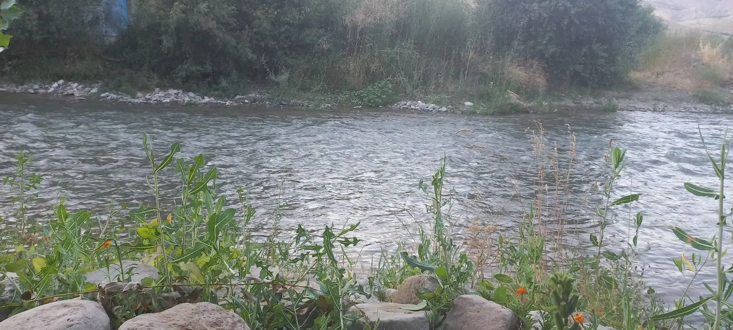 زمین ویلایی