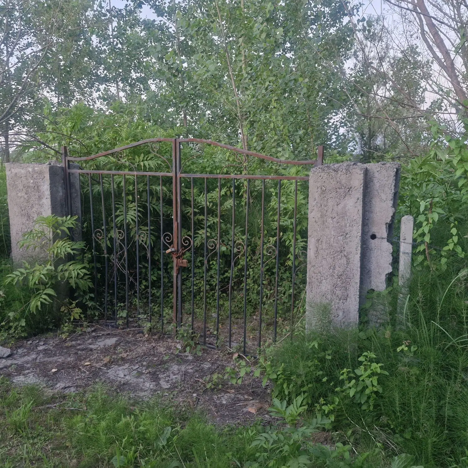 زمین باغی