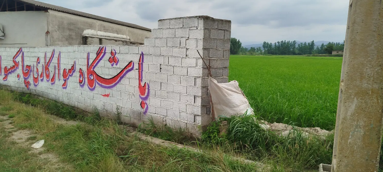 زمین کشاورزی بافت باغی زراعی با سند