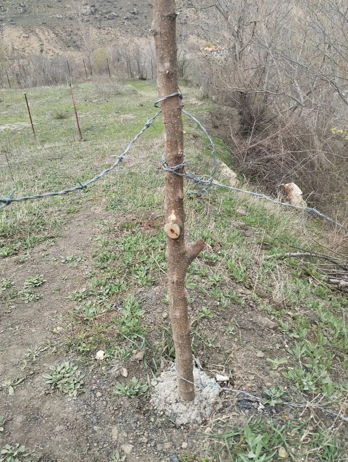 ۲۱۵ متر زمین دارای پروانه ساخت