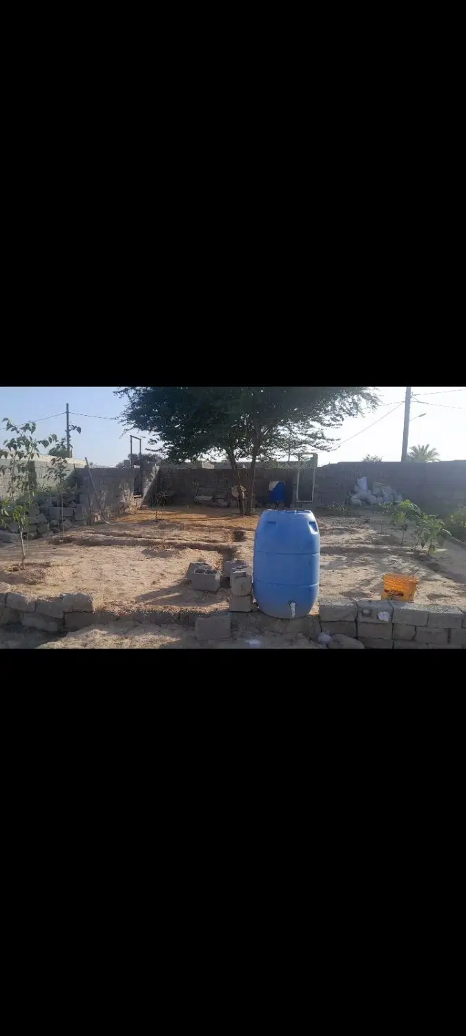 فروش زمین در بندر دیلم روستای کنار کوه