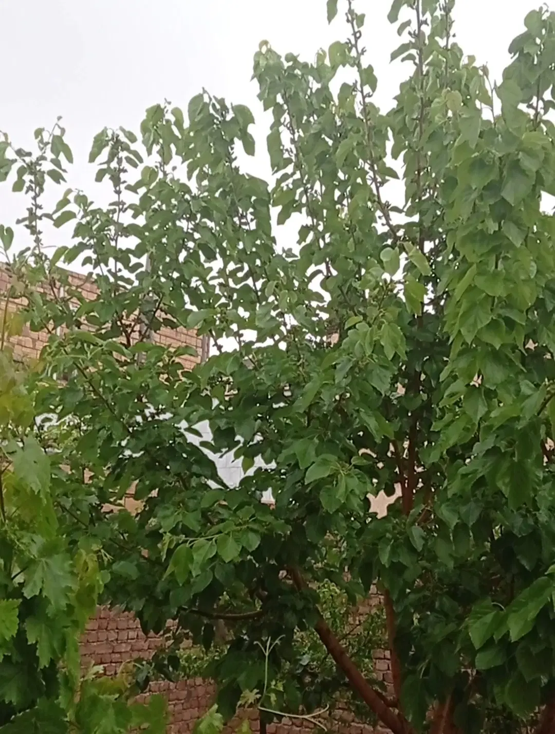 فروش منزل ویلایی مهرشهر