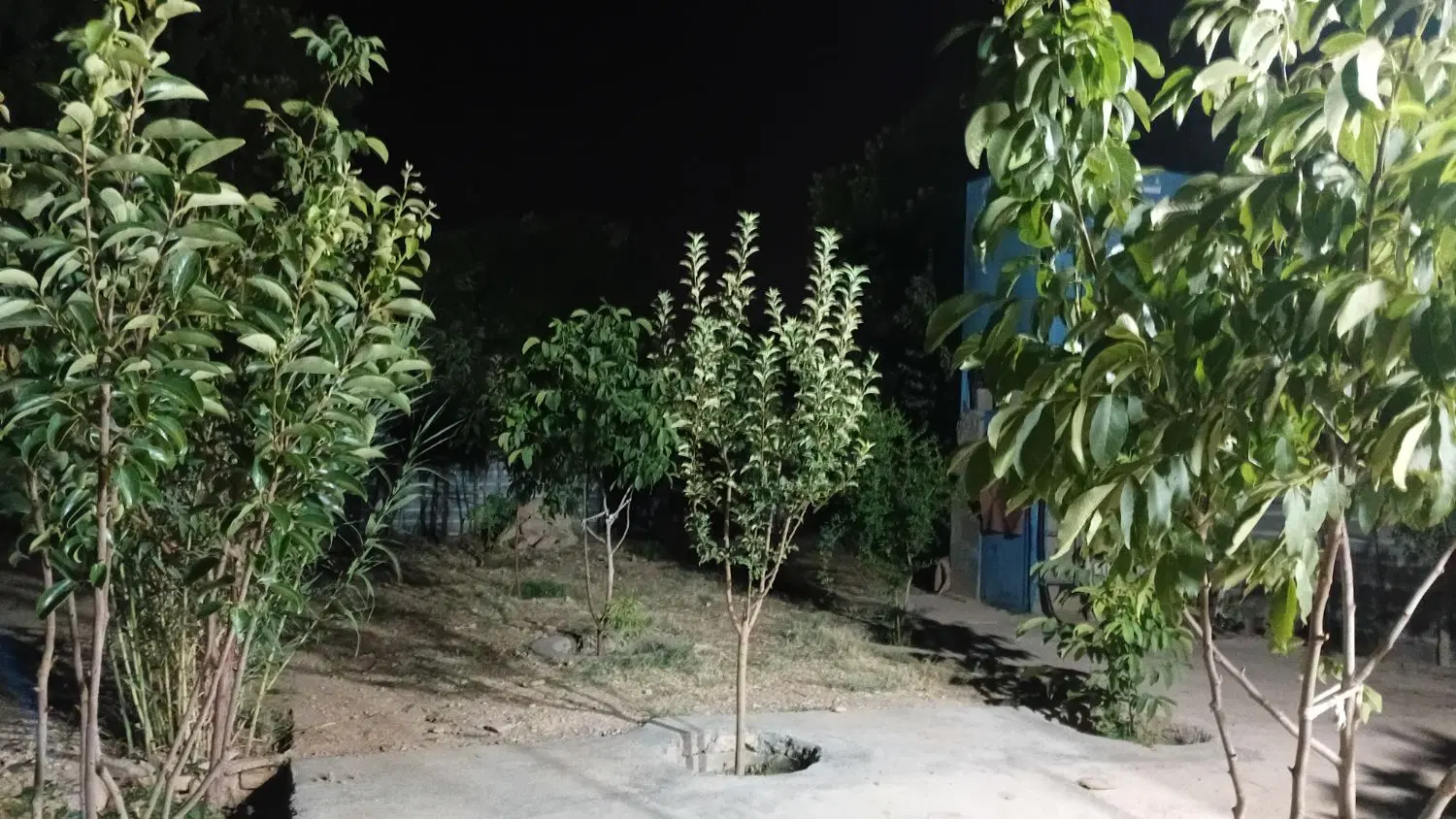 زمین صدرا قصر سبز