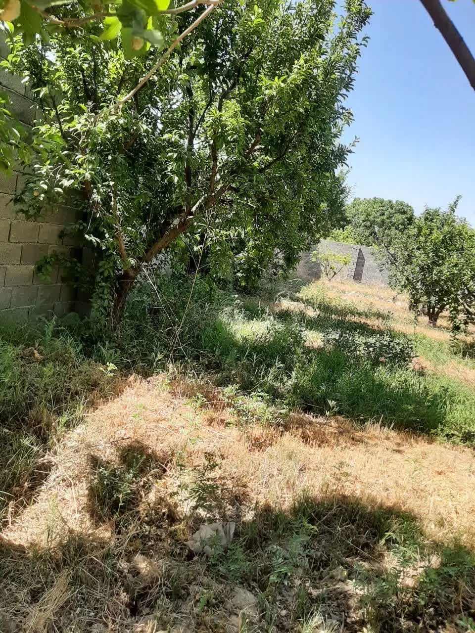 ۶۰۰ متر خوش قواره بر خیابان قیمت کاسبی