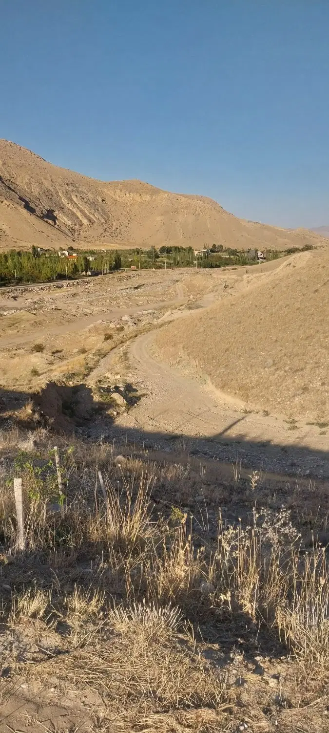 فروش  باغ