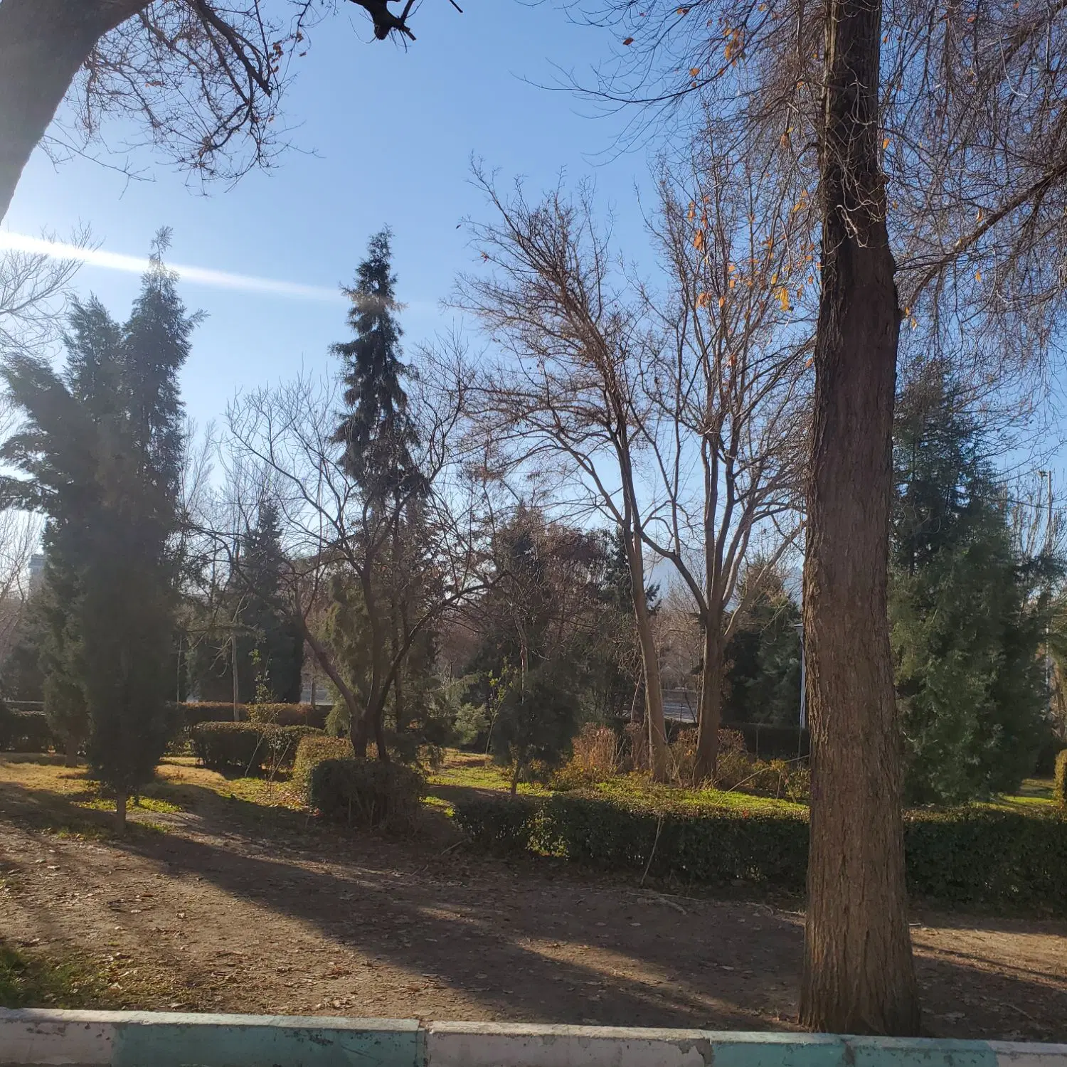 دفتر کار
