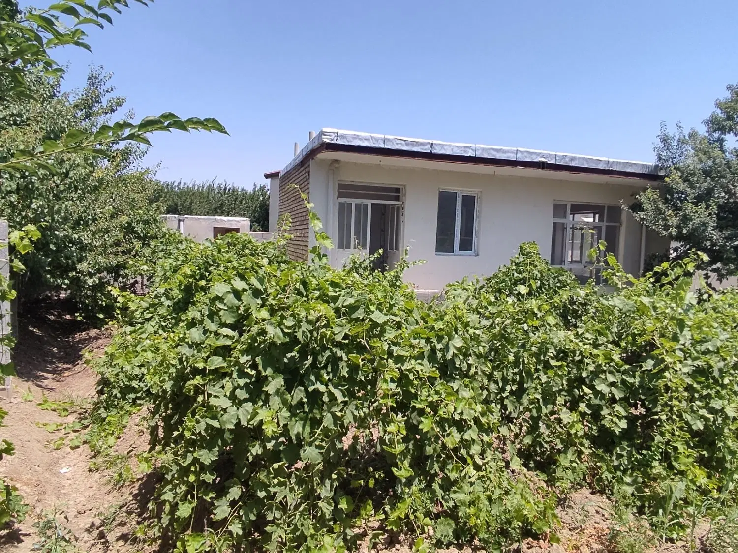 خانه باغ