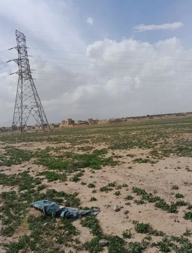 زمین به مساحت ۲۵۰ متر