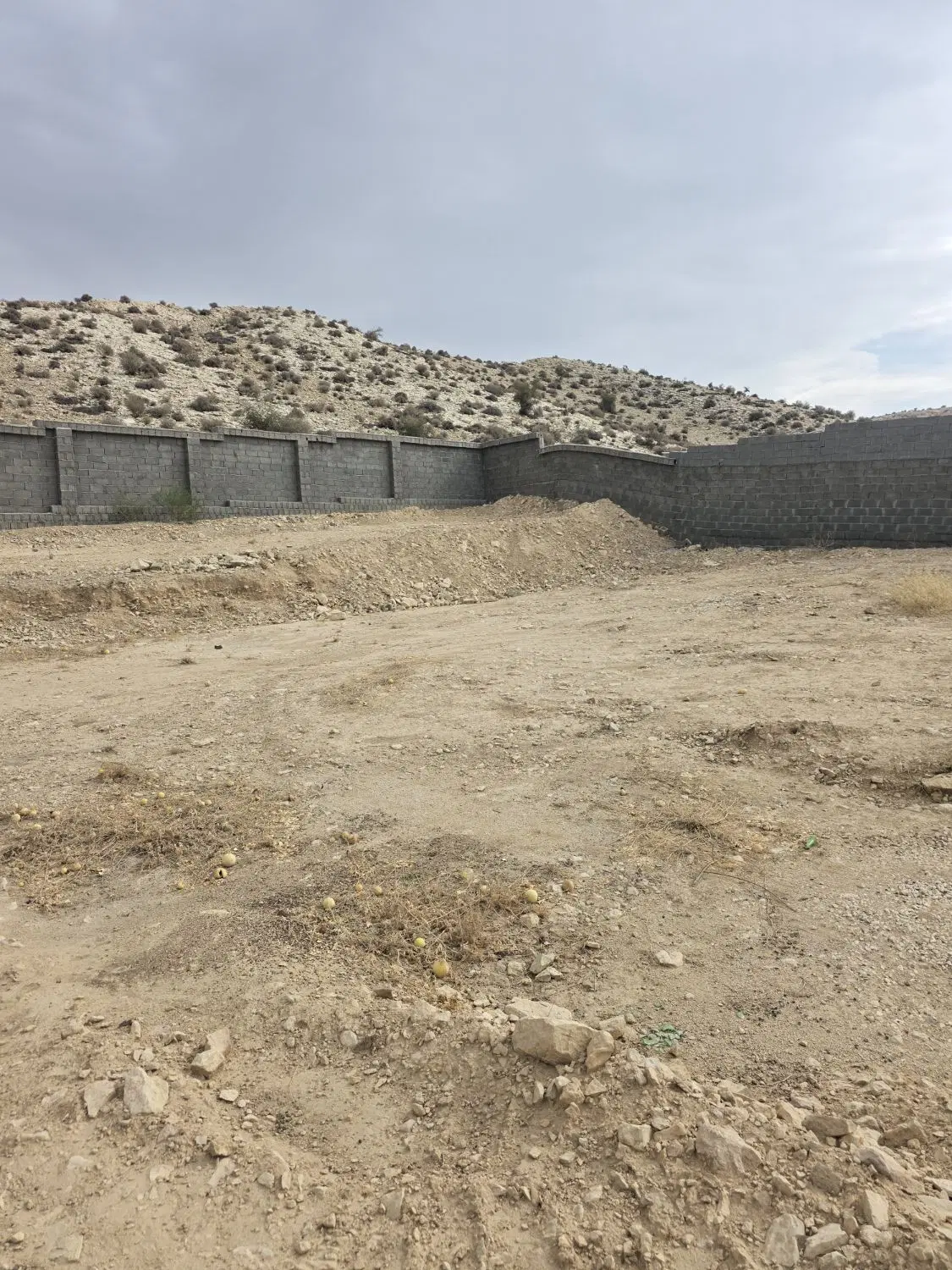 فروش هزار متر زمین مسکونی در روستای چاهه