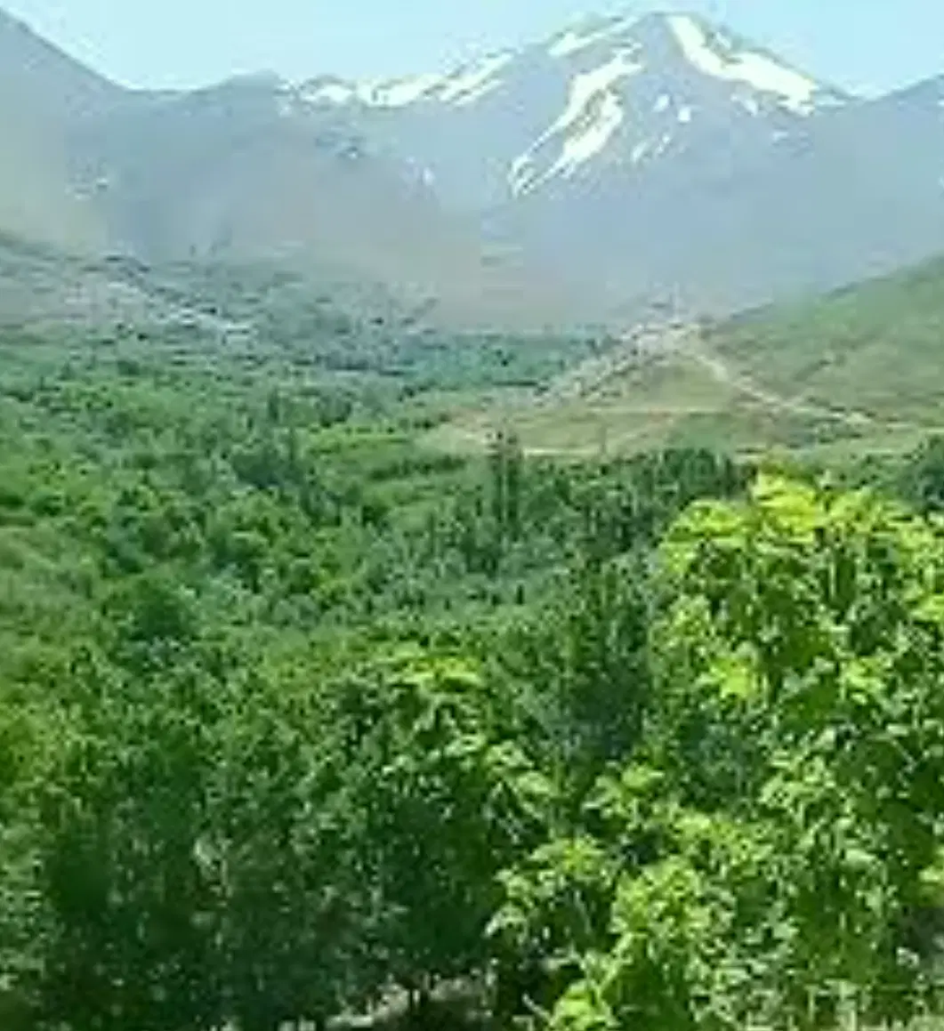 فروش باغ  روستای وهنان  همدان