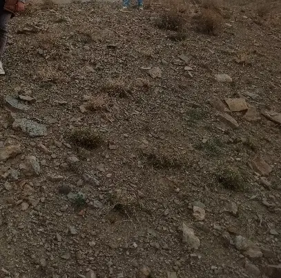 زمین فروشی درنوقاب