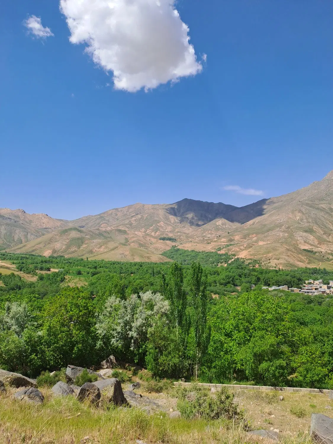 ۷۰۰ متر باغ وهنان