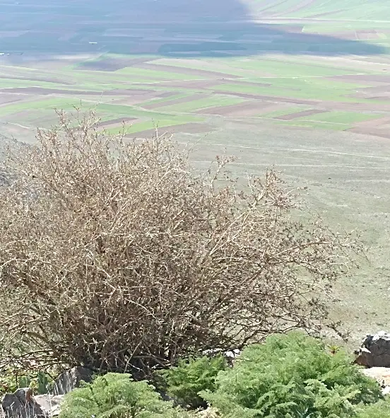 زمین چیاحسین اکبرآباد