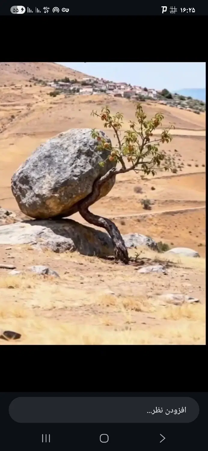 زمین