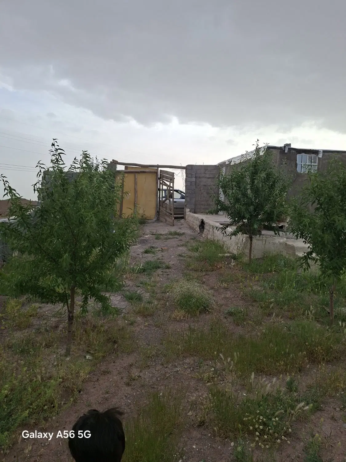 فروش باغ در قزوین روستای قنبر آباد