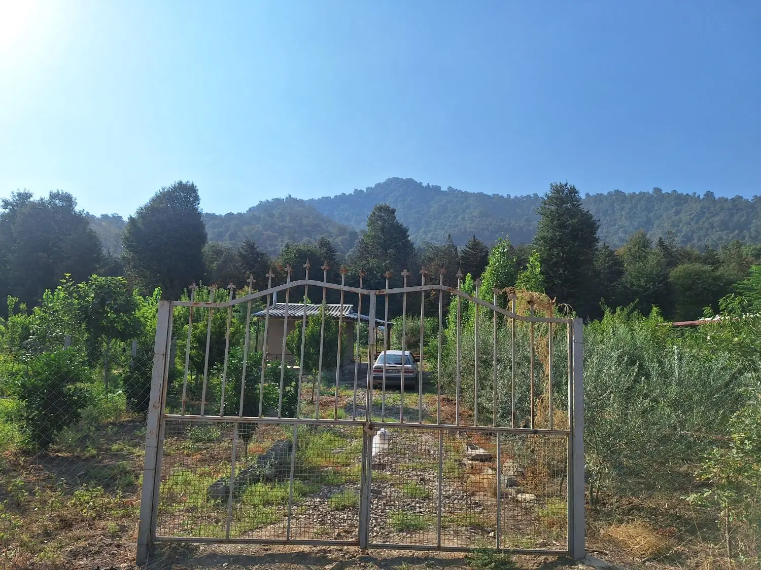 ۸۰۰متر باغ با خانه. جنگل قرق