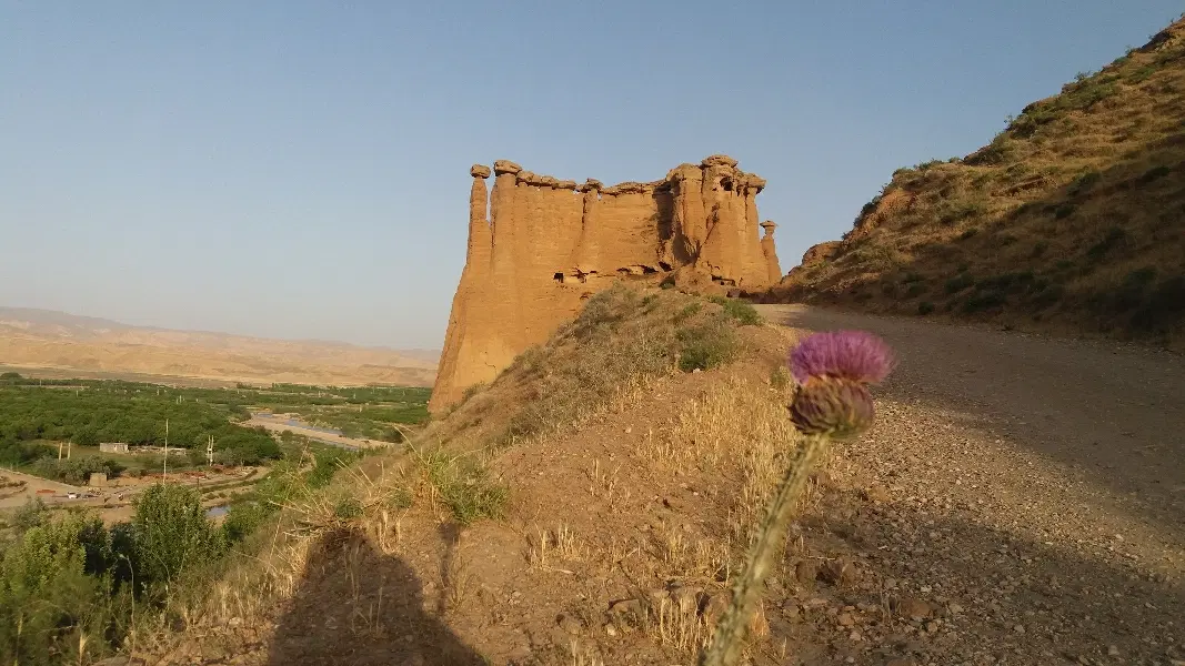 فیش فتح یاران