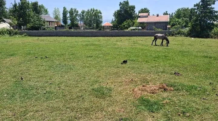 زمین مسکونی روستایی