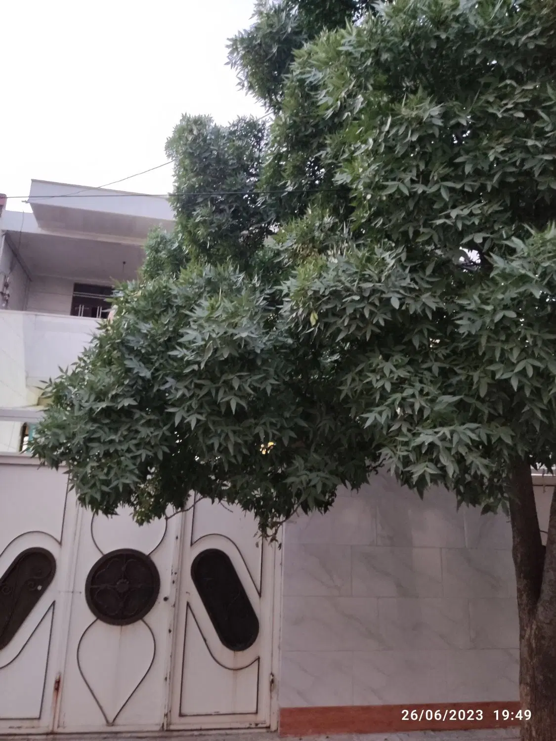 خانه اجاره
