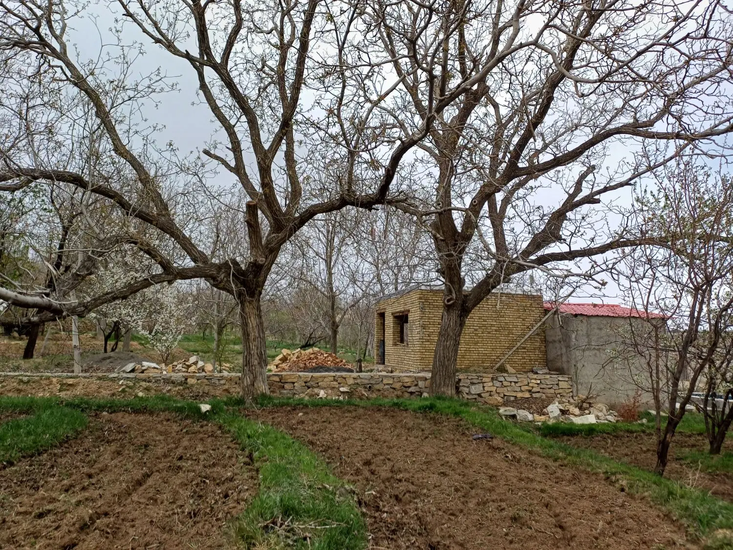 باغ قدیمی در آبشینه