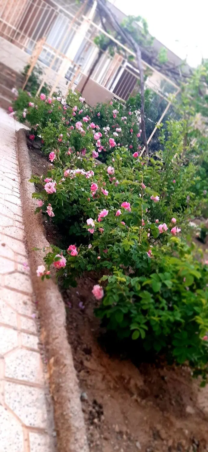 اجاره خانه باغ در باغبهادران