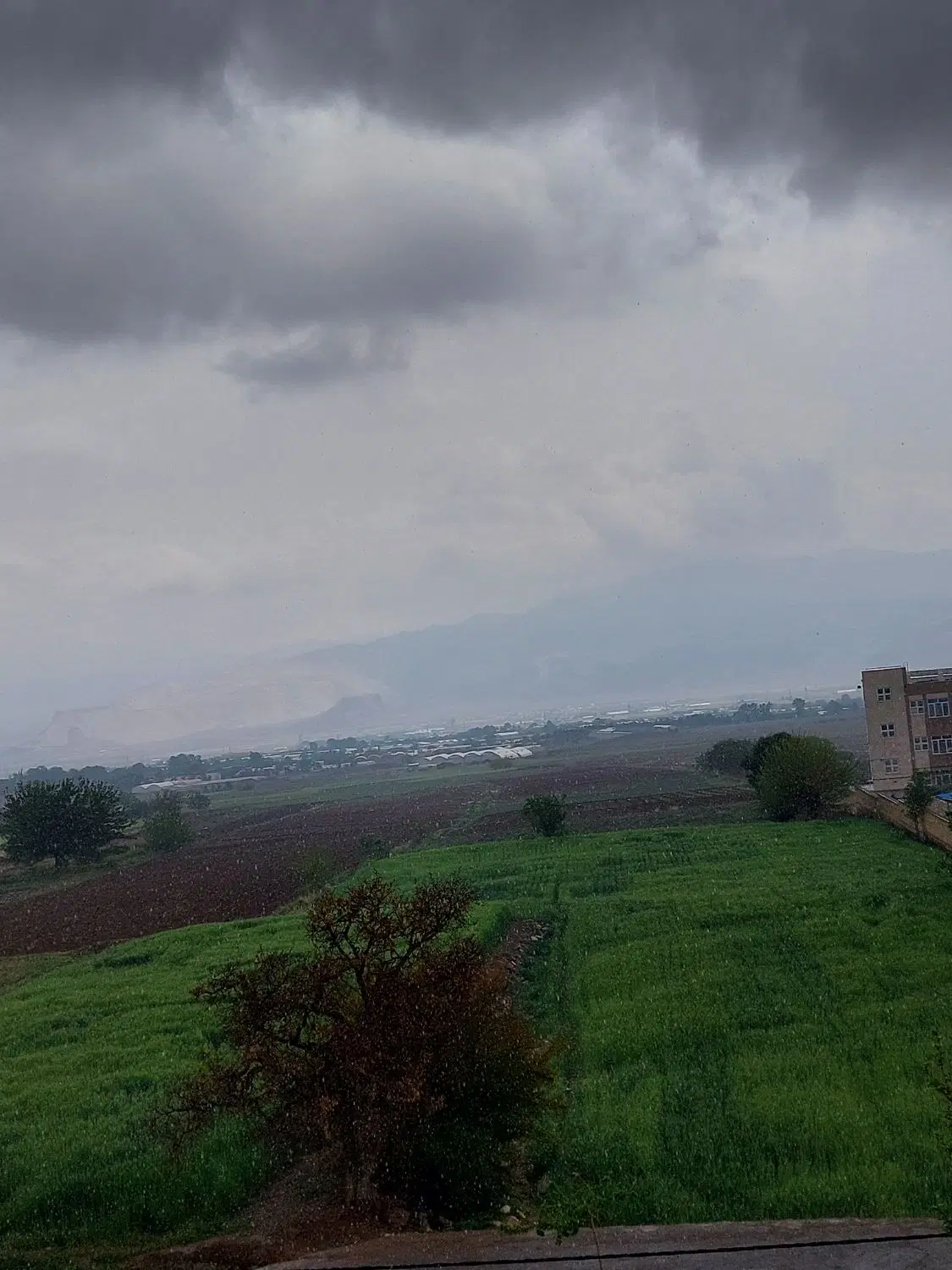 زمین فروشی