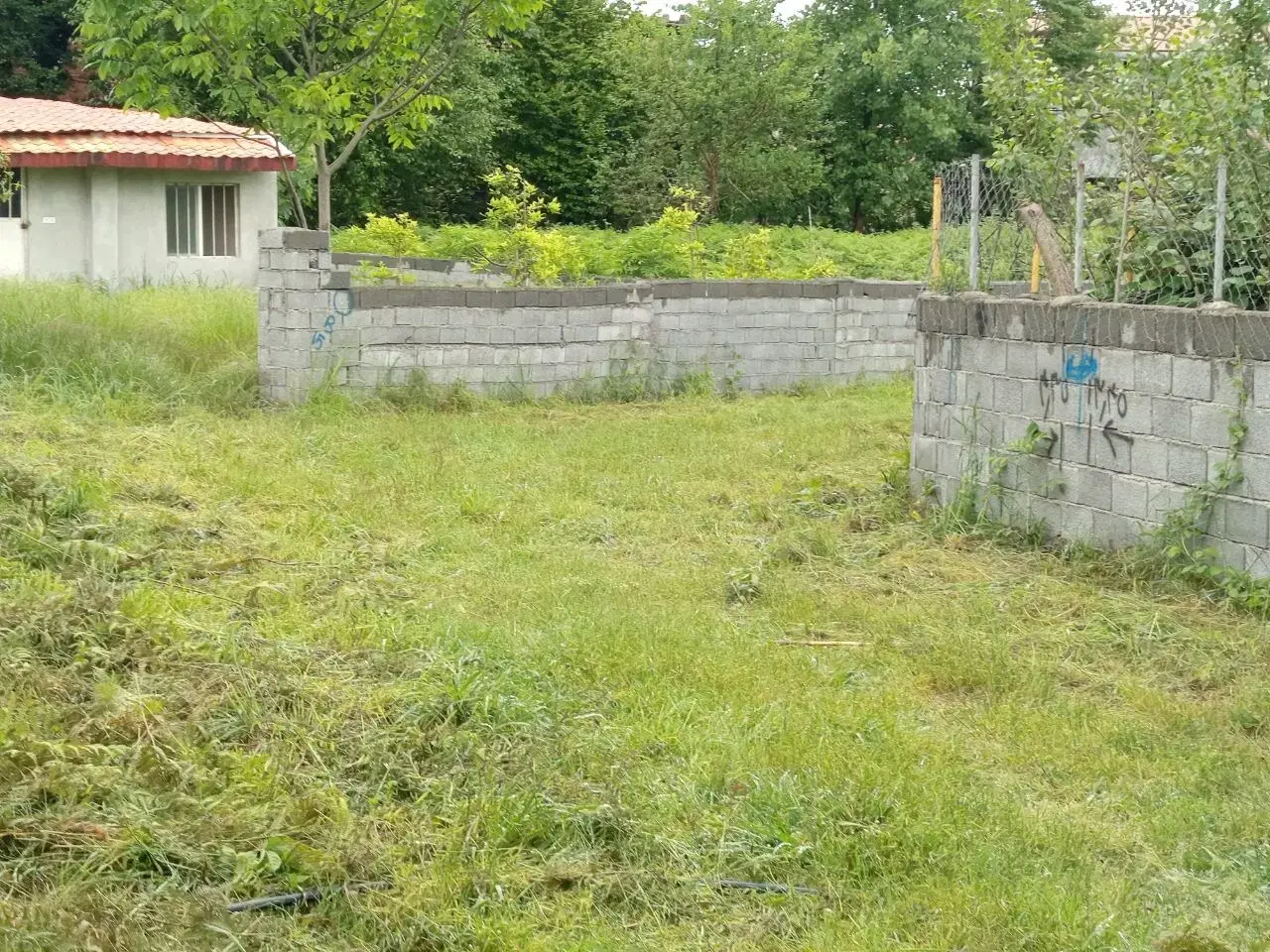 زمین نوشهر علی آباد میر ۱۵۰ و ۲۰۰ و ۳۰۰ متری