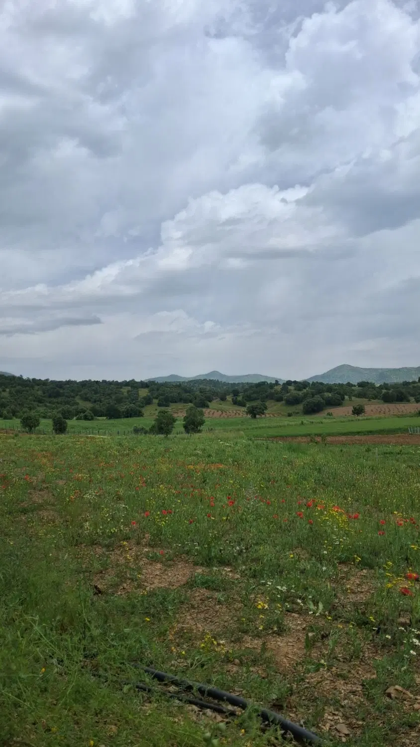 اجاره ی زمین کشاورزی