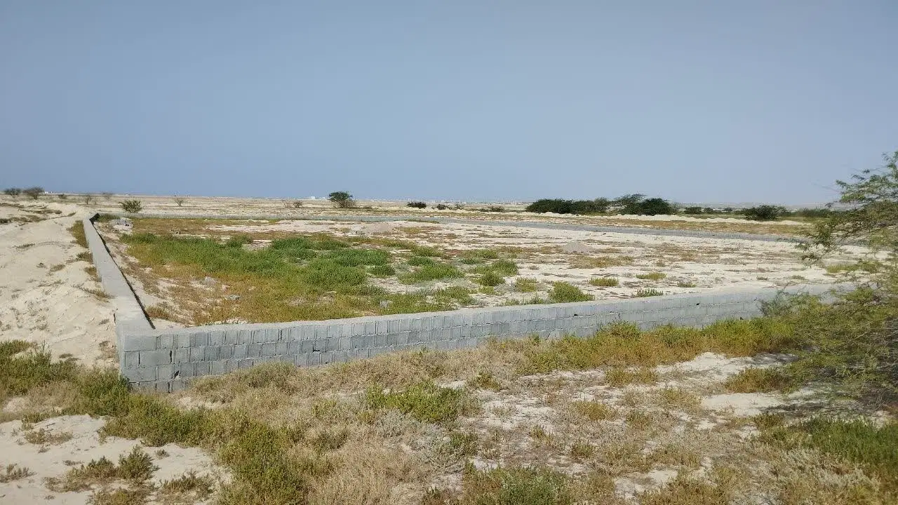 فروش زمین باغی پائین بنک رو به ساحل