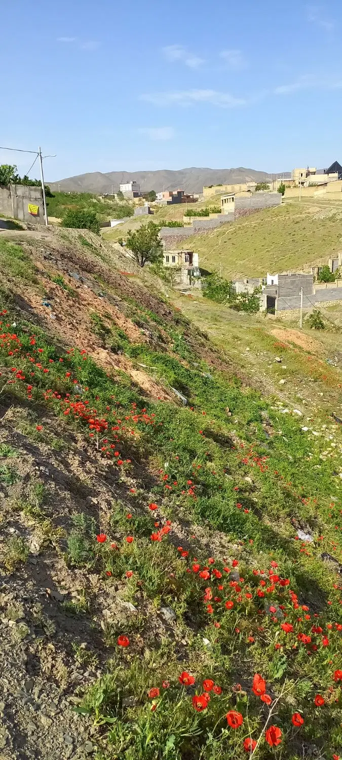 ۴۰۰ متر زمین بنیادی ابرده