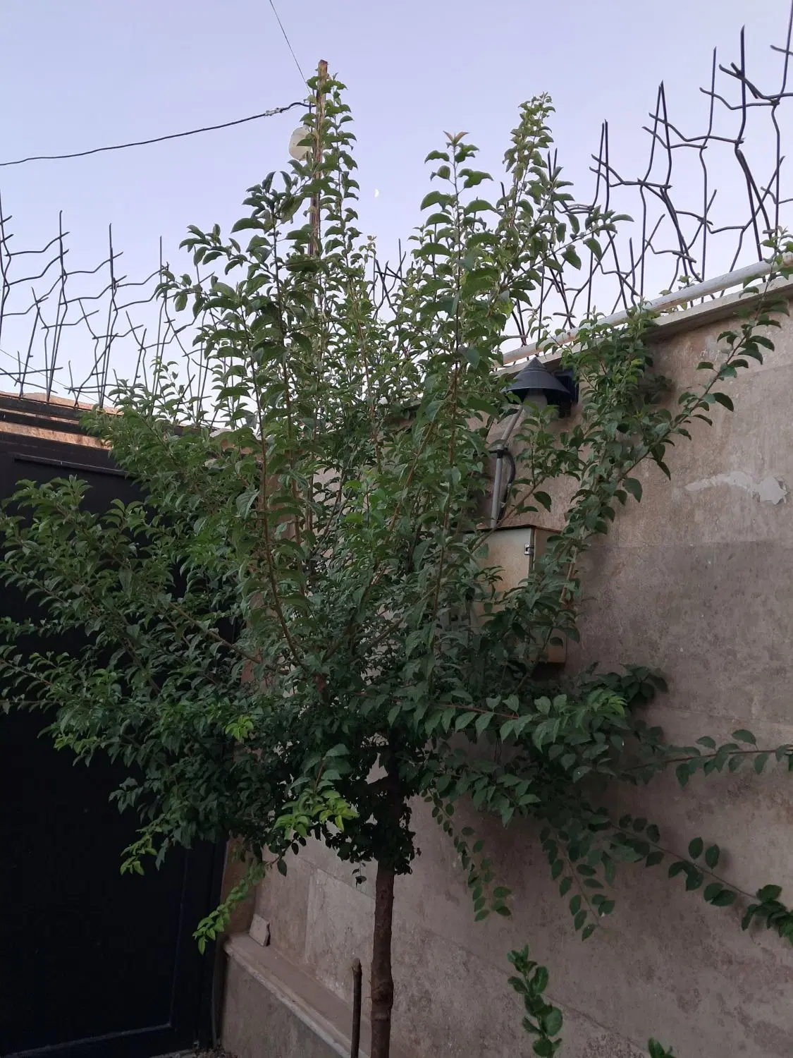 فروش ویلا درسرسبزترین روستای خمین