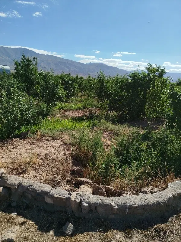باغ بوژمهران  خوش آب هوا