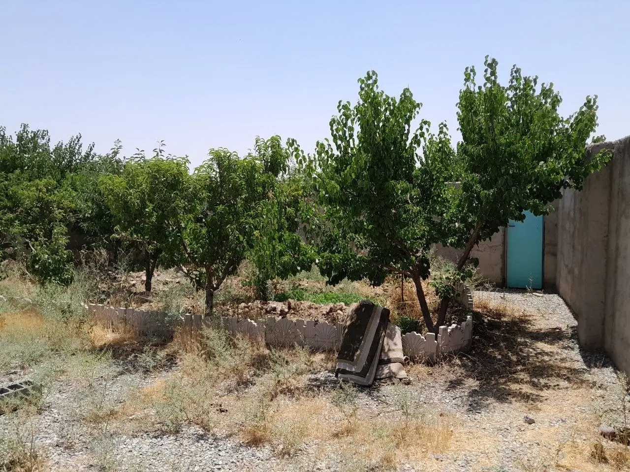 باغچه 500 متری در فردوسیه
