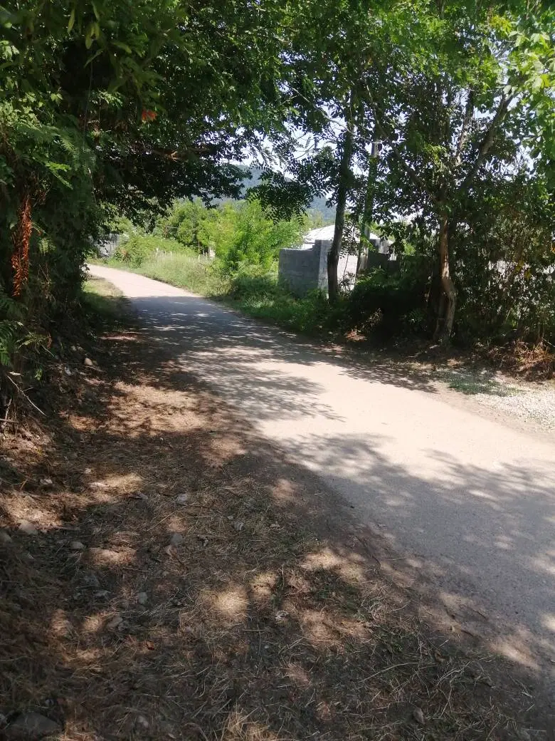 زمین فروشی۴۰۰مترمربع در گوراب زرمیخ روستای س سار