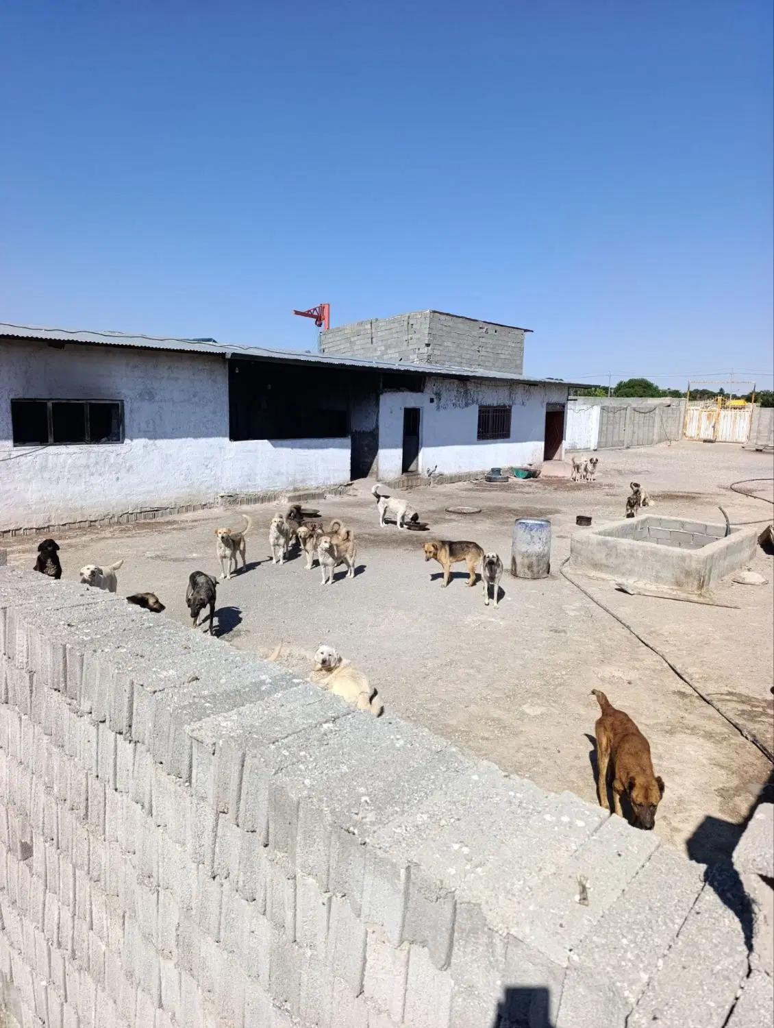 سوله اجاره