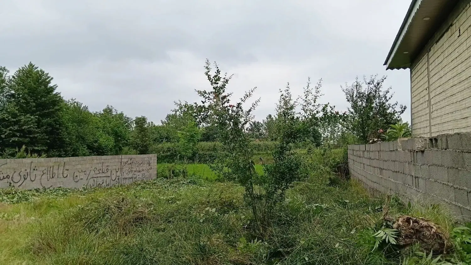 253متر زمین خوش نقشه