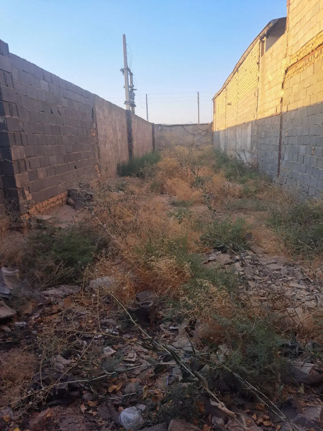 زمین غلفتی