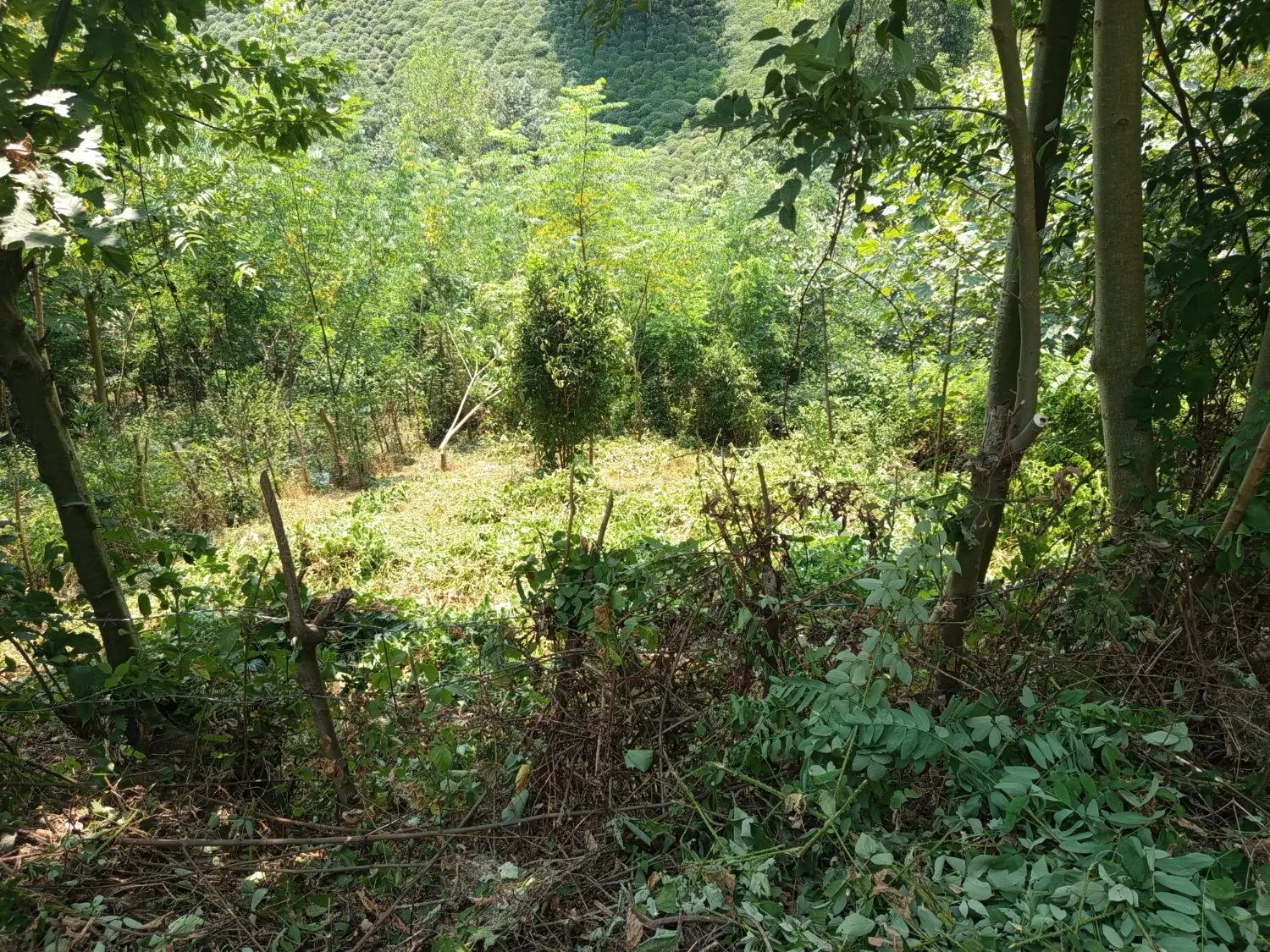 زمین چسب مسکونی