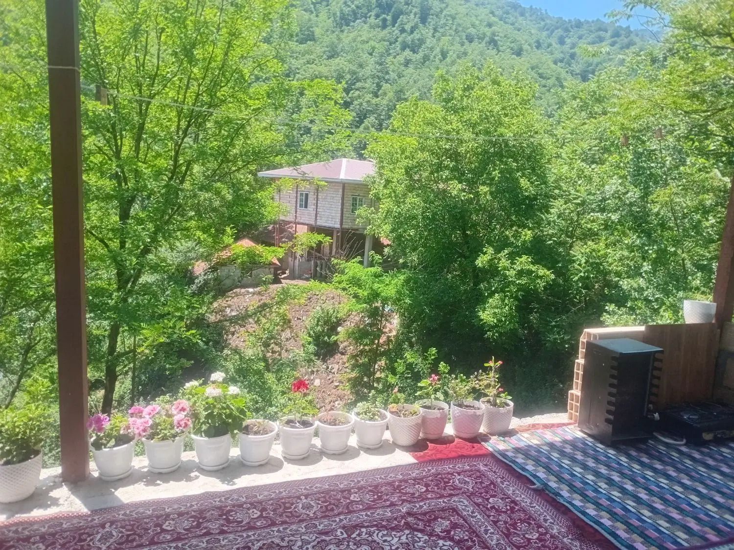 ویلا جنگلی