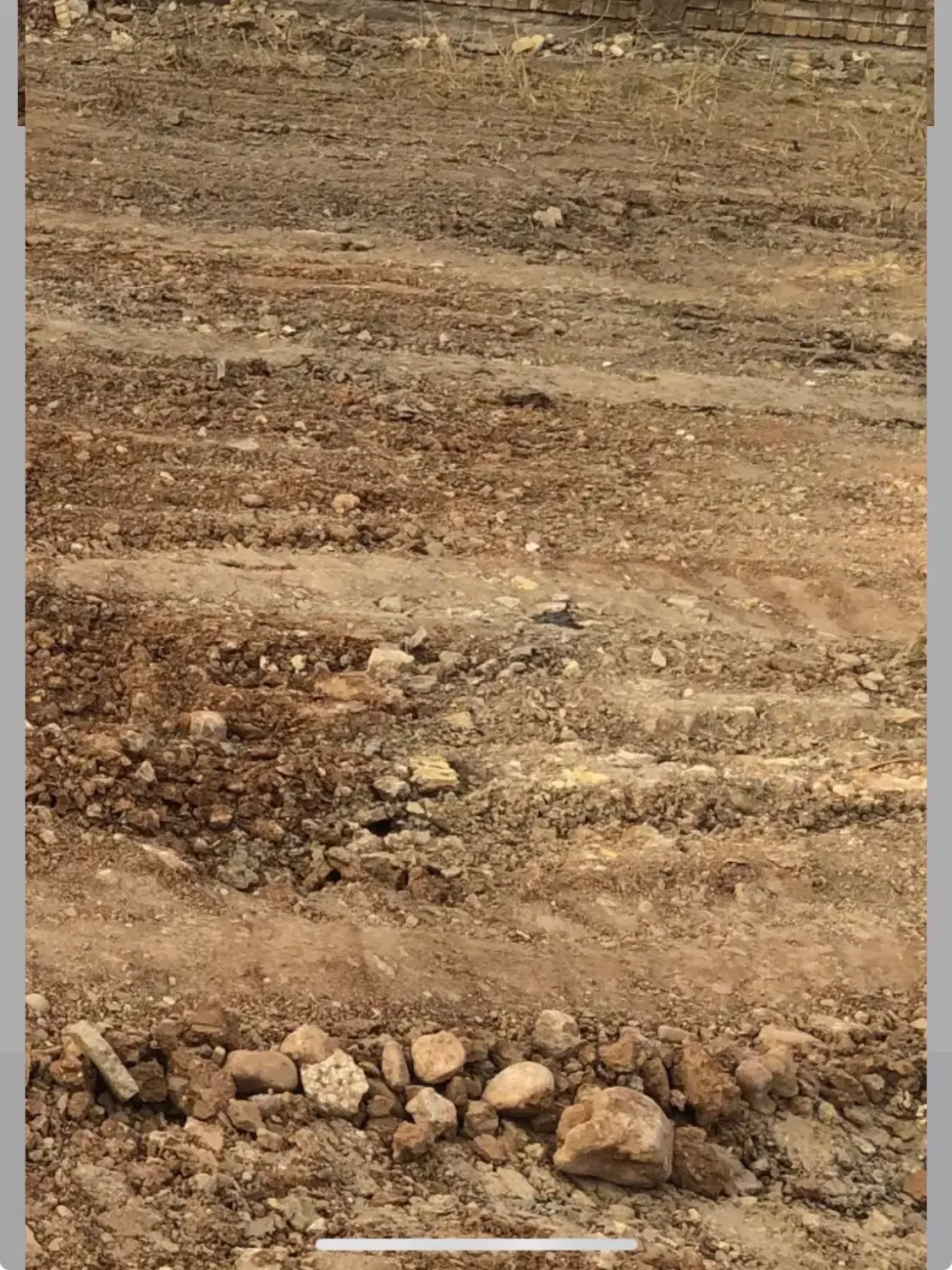 زمین خاتونک حافظ