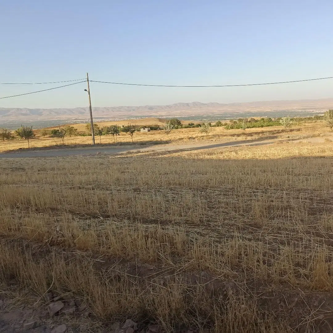 زمین مسکونی