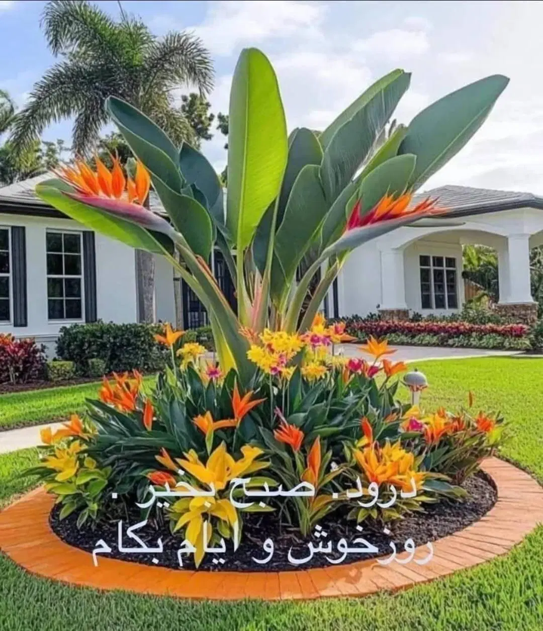 زمین فروشی