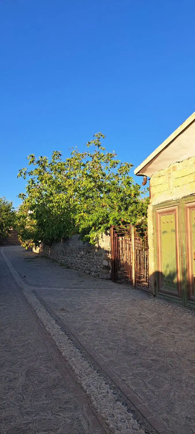 زمین ویلایی روستای داوران