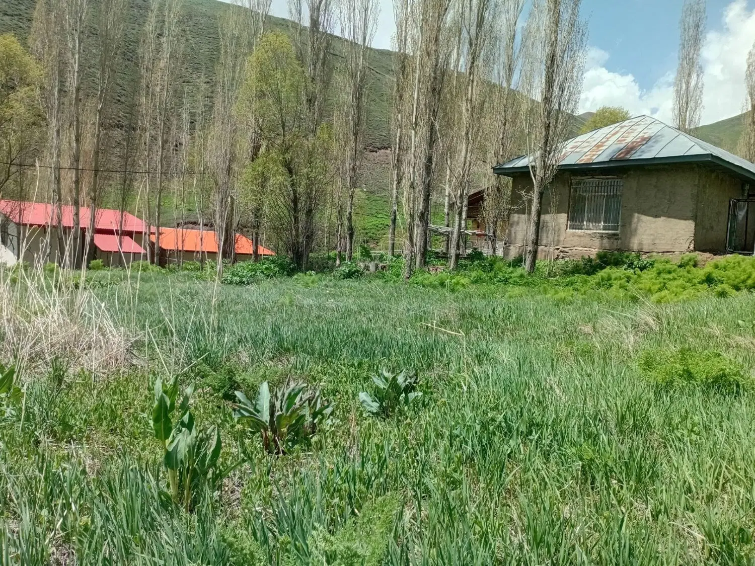 فروش زمین ۵۷۰ متری در روستای آزادبر جاده چالوس