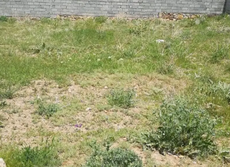 فروش زمین مسکونی روستای ملگل 8