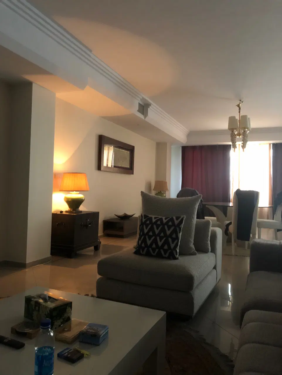 همخانه خانم جوان