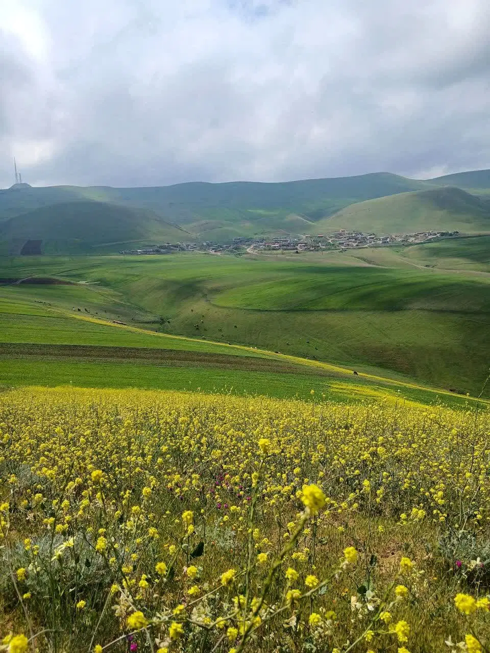 فروش زمین مزروعی