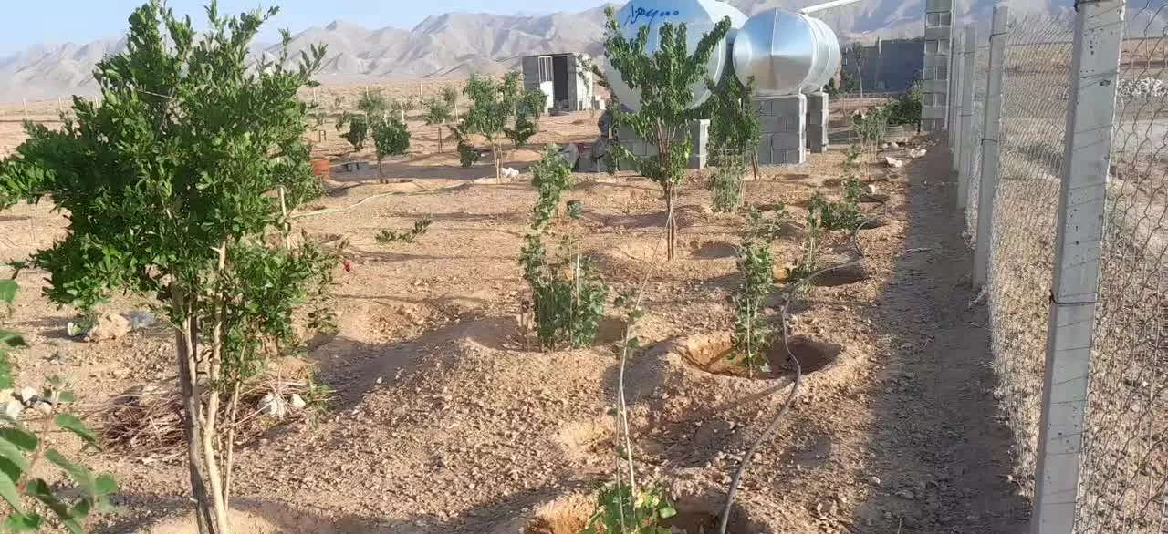 فروش باغ