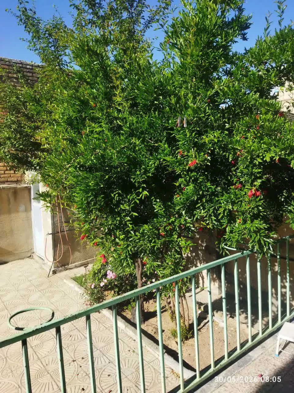 خانه